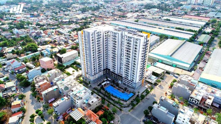 HIM LAM PHÚ AN hinh anh thuc te 12
