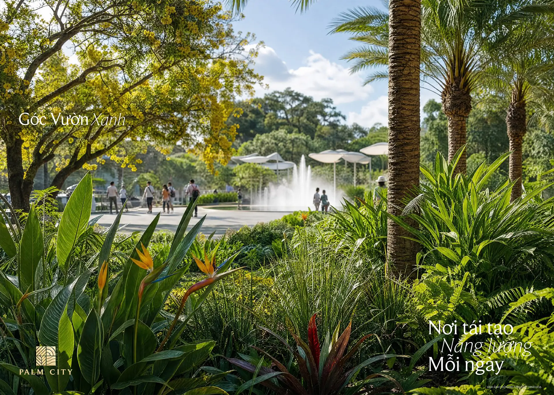 Palm City - Bến du thuyền Marina ven sông